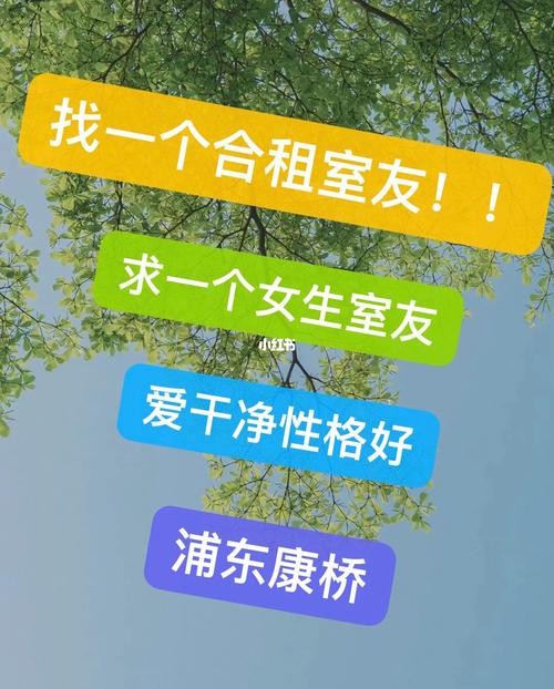 租房怎么找室友租房子 租房怎么找室友 