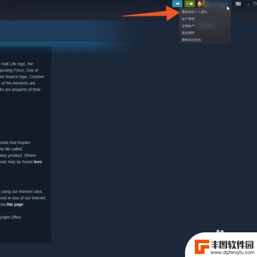 自己玩游戏 steam怎么不让好友看见自己玩游戏