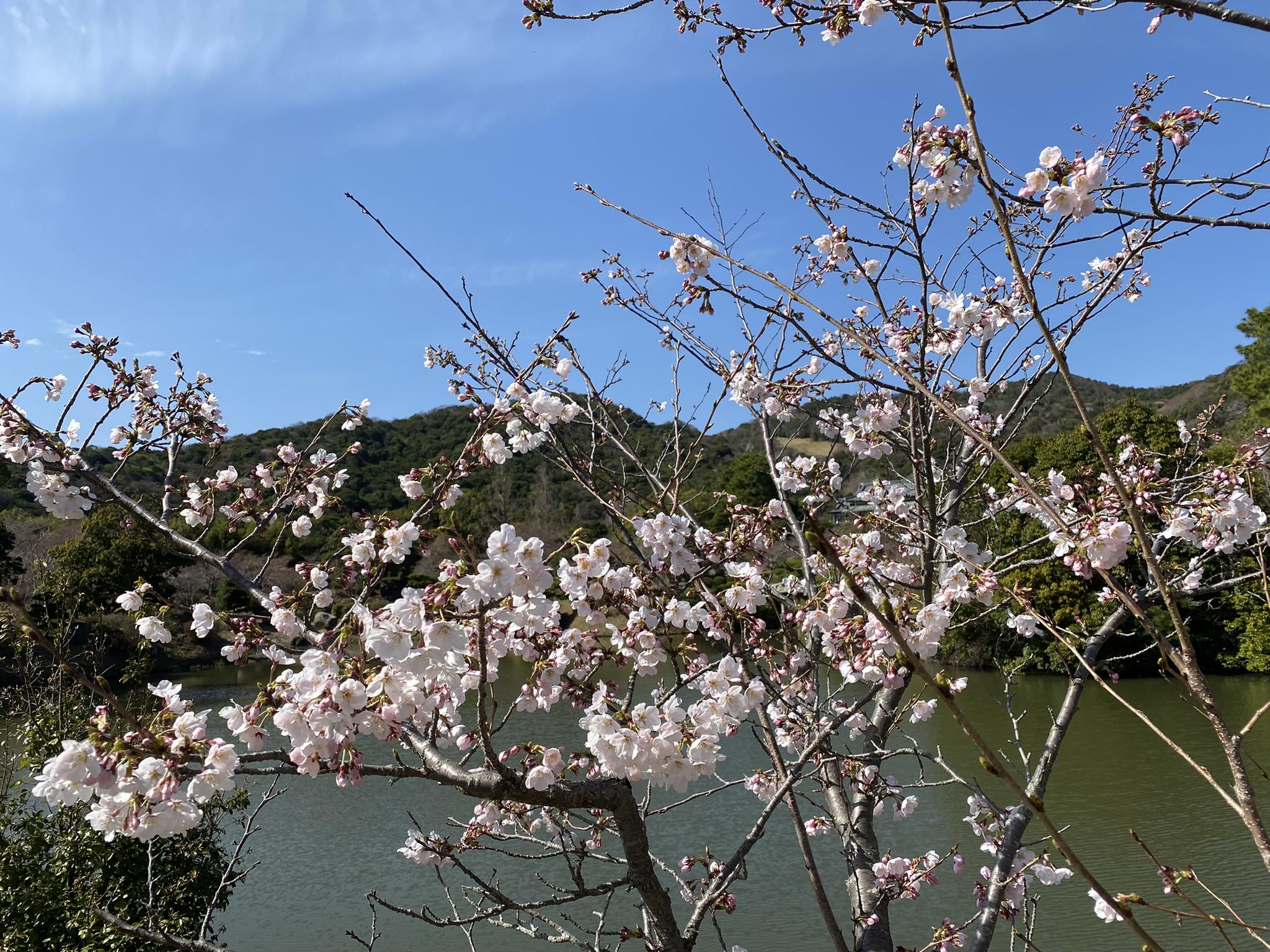 旅游戏 日本之旅游戏